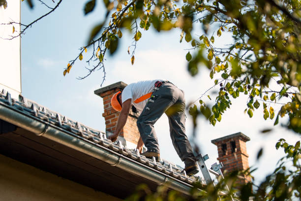 Best Rubber Roofing (EPDM, TPO)  in Rye Brook, NY